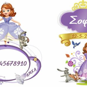 Θήκη βιβλιαρίου - πριγκίπισσα!